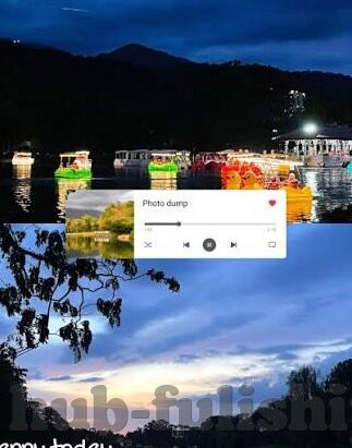 麻豆文化传媒网站入口-透析网络文化的边缘景象,麻豆文化传媒网站入口的背后